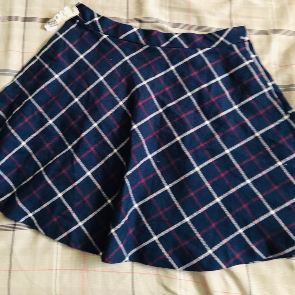 Blue Plaid Skirt